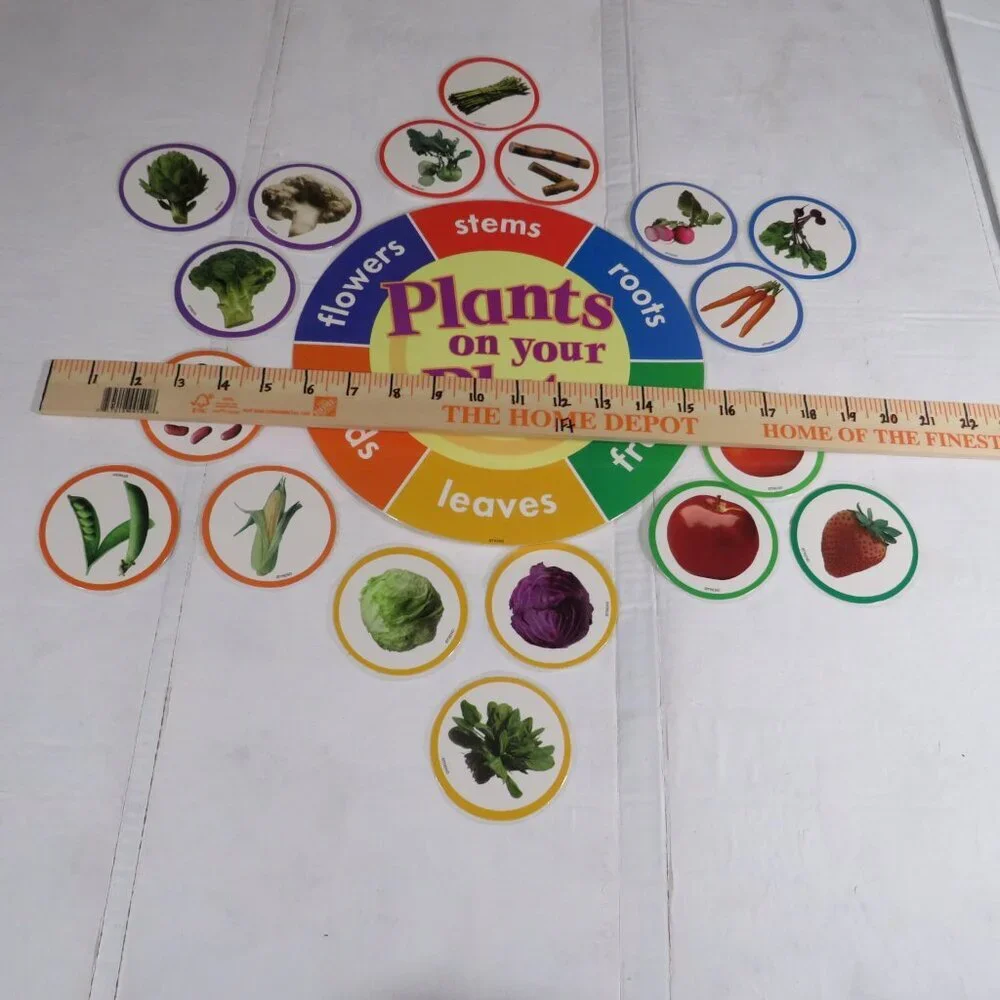 Plants on the Grow Extra Large BULLETIN BOARD SET LAMINATED Classroom Posters